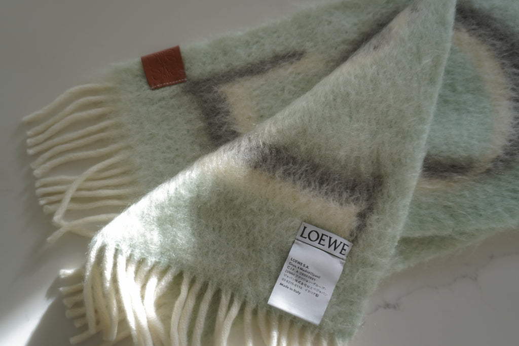 Loewe Logo-Print Mohair & Wool Mint Scarf
