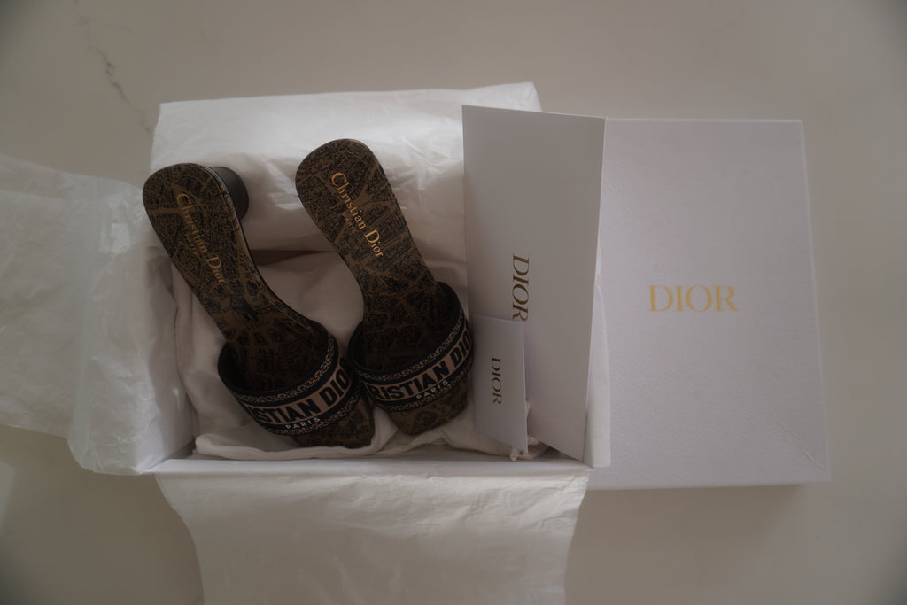 Christian Dior Dway Plan de Paris Embroidered Heeled Mules