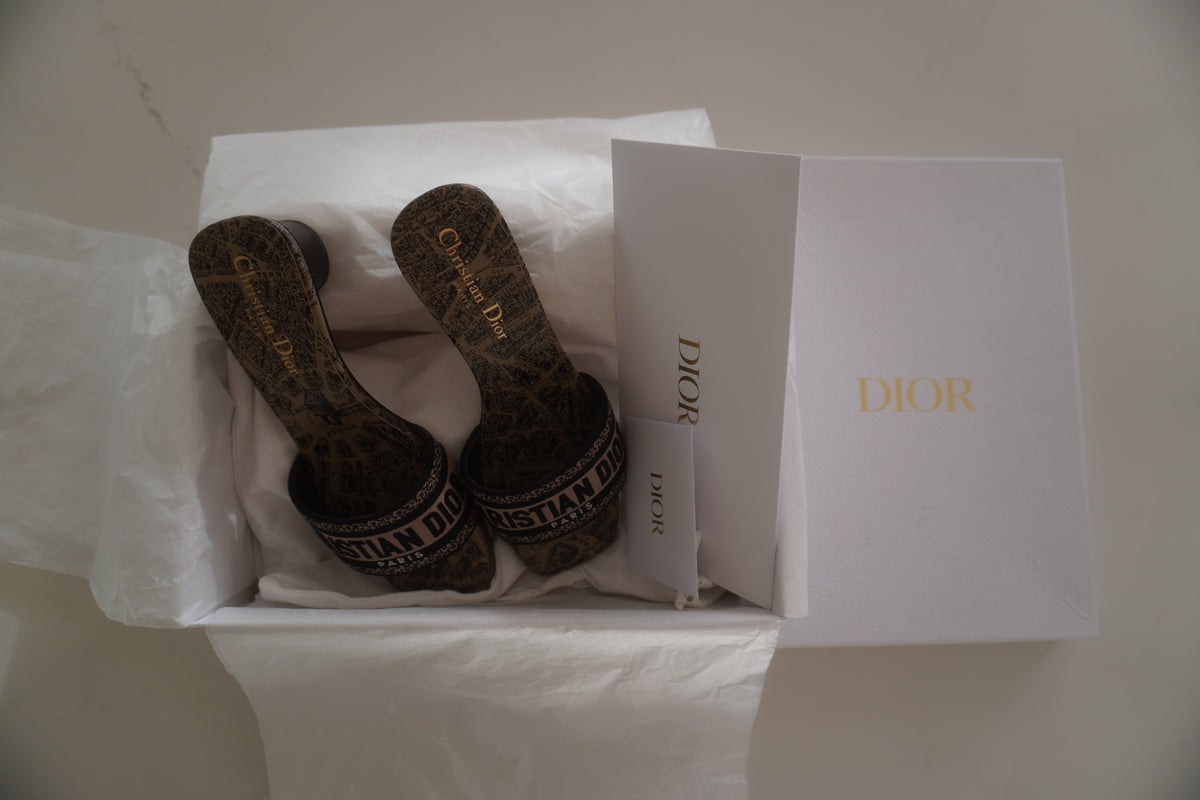 Christian Dior Dway Plan de Paris Embroidered Heeled Mules