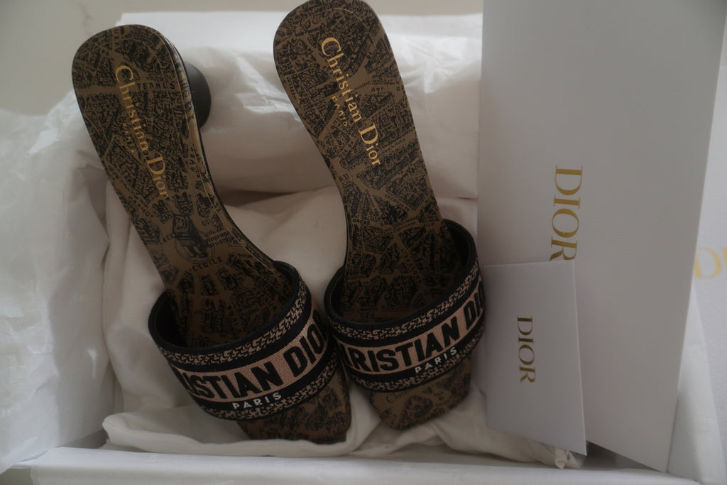 Christian Dior Dway Plan de Paris Embroidered Heeled Mules