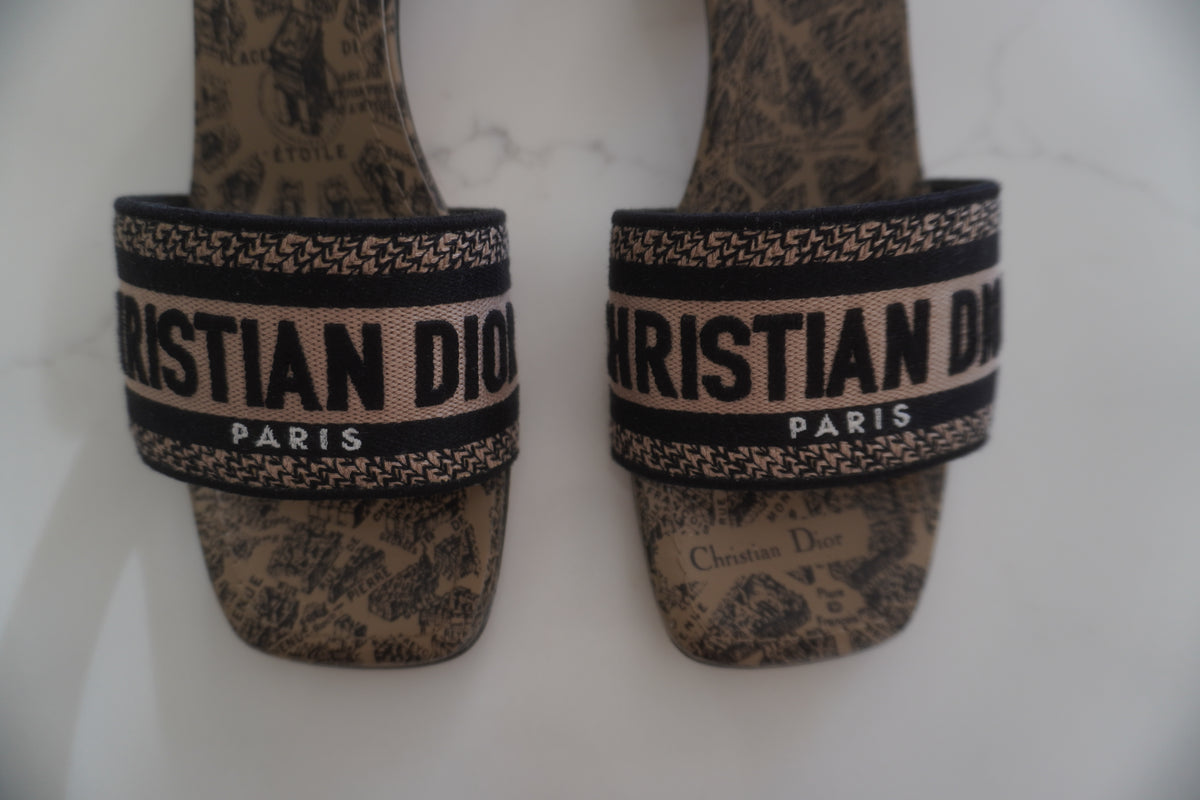 Christian Dior Dway Plan de Paris Embroidered Heeled Mules