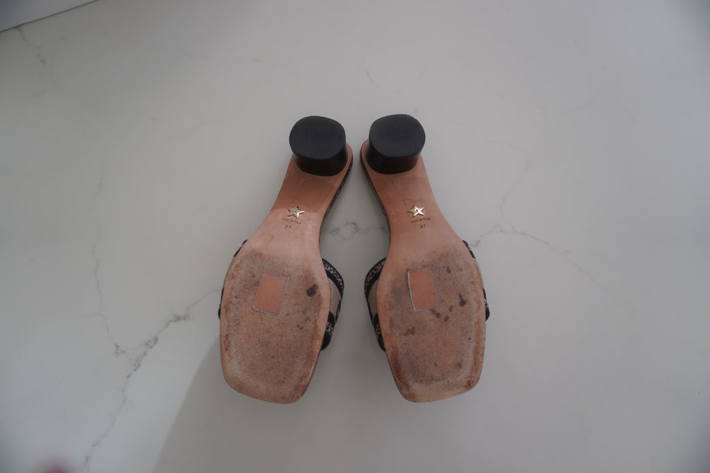 Christian Dior Dway Plan de Paris Embroidered Heeled Mules