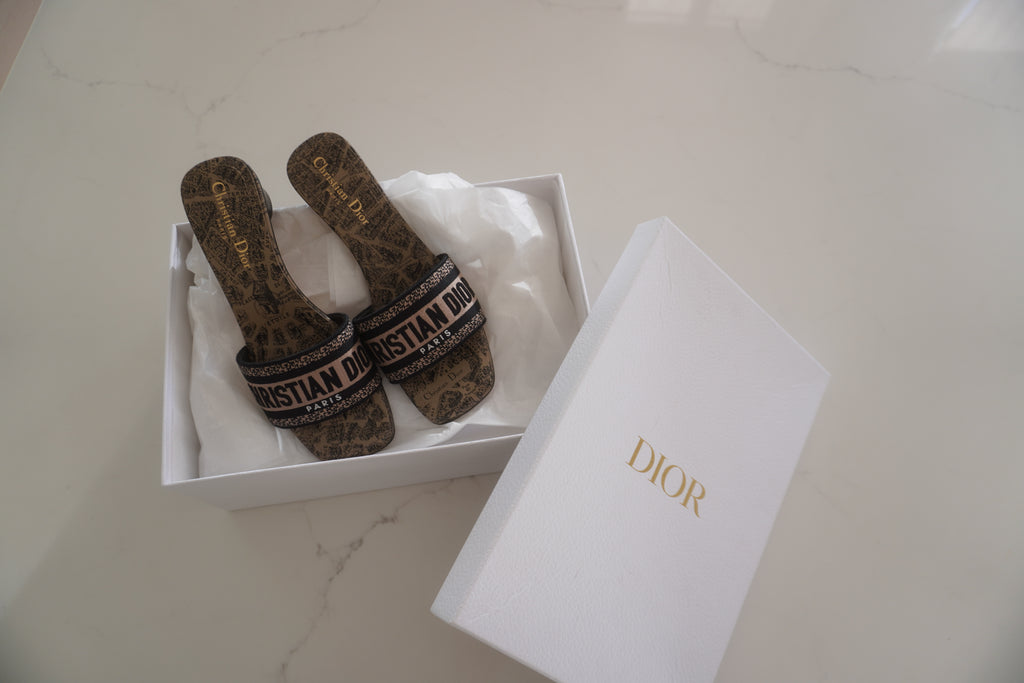 Christian Dior Dway Plan de Paris Embroidered Heeled Mules